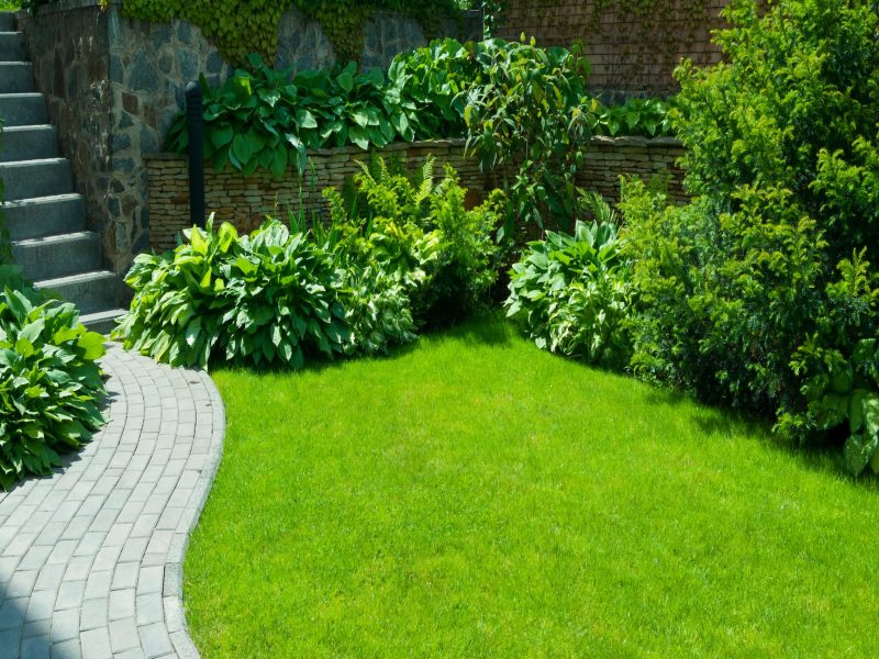 Lush garden pathway with green plants and stone stairs.